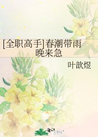 [全职高手]春潮带雨晚来急