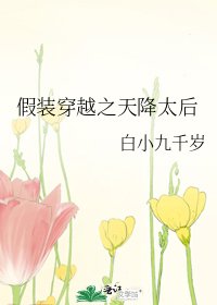 假装穿越之天降太后